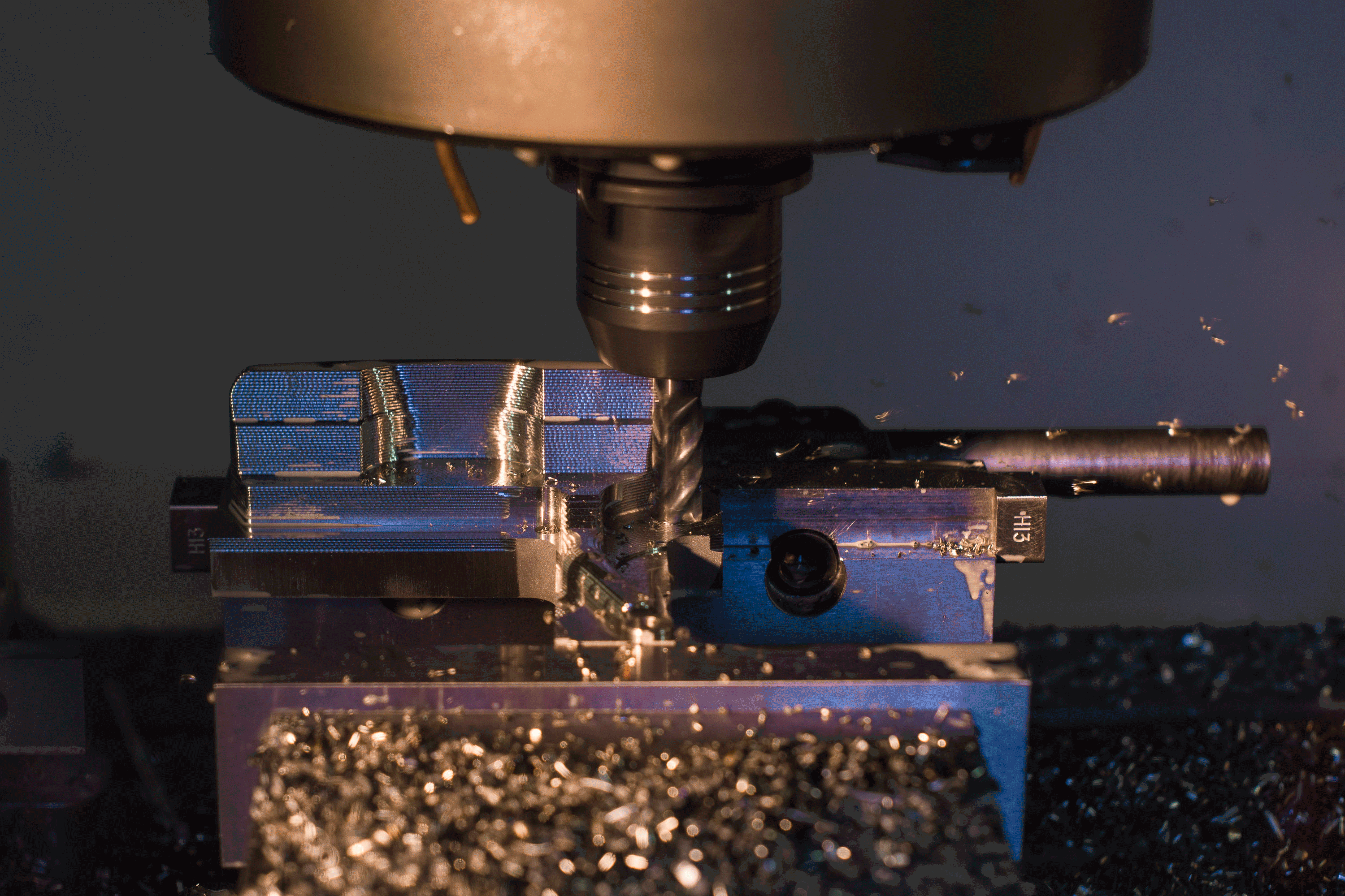 Animals, Portrait, Conceptual, Lifestyle photo by Mark Peterman