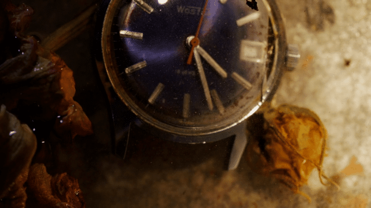 Tabletop, Still Life, Conceptual, Stop Motion photo by Dan Wonderly